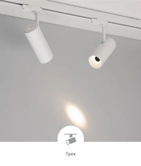 Фото #1 товара SILMA