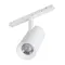 Минифото #3 товара Светильник MAG-ORIENT-SPOT-ZOOM-R65-15W Day4000 (WH, 34-60 deg, 48V) (Arlight, IP20 Металл, 5 лет)