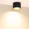 Минифото #5 товара Светильник SP-BISCOTTO-R120-12W Warm3300-MIX (BK-GD, 80 deg, 230V) (Arlight, IP54 Металл, 5 лет)