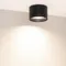 Минифото #3 товара Светильник SP-BISCOTTO-R120-12W Warm3300-MIX (BK, 80 deg, 230V) (Arlight, IP54 Металл, 5 лет)