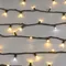 Минифото #4 товара Светодиодная гирлянда ARD-STRING-PRO-10000-GREEN-100LED-FLASH WARM (230V, 7W) (Ardecoled, IP65)