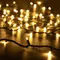 Минифото #1 товара Светодиодная гирлянда ARD-STRING-PRO-10000-GREEN-100LED-STD WARM (230V, 7W) (Ardecoled, IP65)