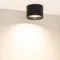 Минифото #5 товара Светильник SP-BISCOTTO-R120-12W Warm3300-MIX (BK, 80 deg, 230V) (Arlight, IP54 Металл, 5 лет)