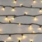 Минифото #4 товара Светодиодная гирлянда ARD-STRING-PRO-10000-GREEN-100LED-STD WARM (230V, 7W) (Ardecoled, IP65)
